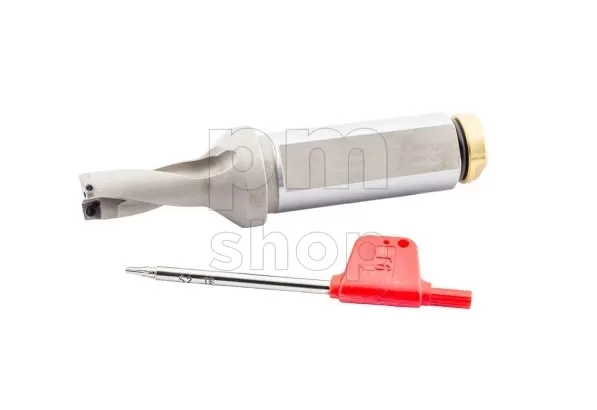 Сверло со сменными пластинами UD20.SP06.170.W25 заказать