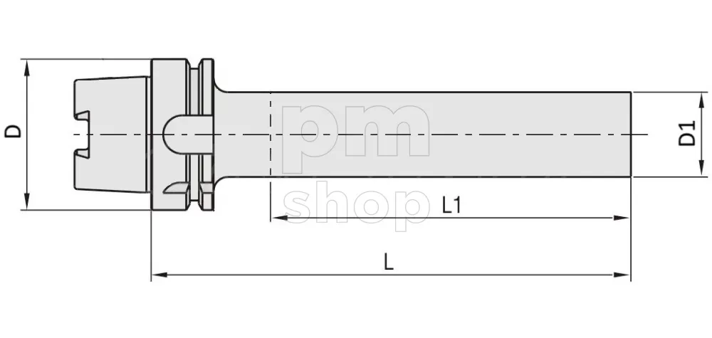 Контрольная (тестовая) оправка HSK63A-D50-350 заказать