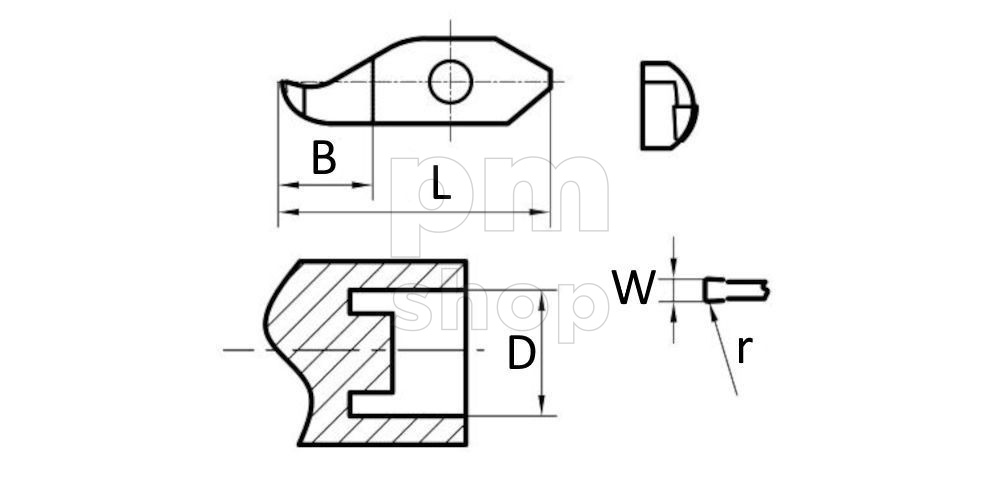 Пластина отрезная канавочная SPDR300DM10-PM125 заказать