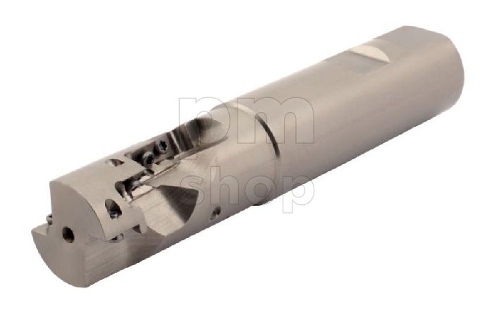 Фреза концевая со сменными пластинами Sant PE02.11W32.040.02 заказать