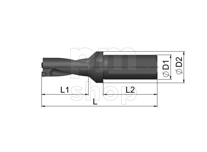 Сверло со сменными пластинами UD50.SP06.165.W25 заказать