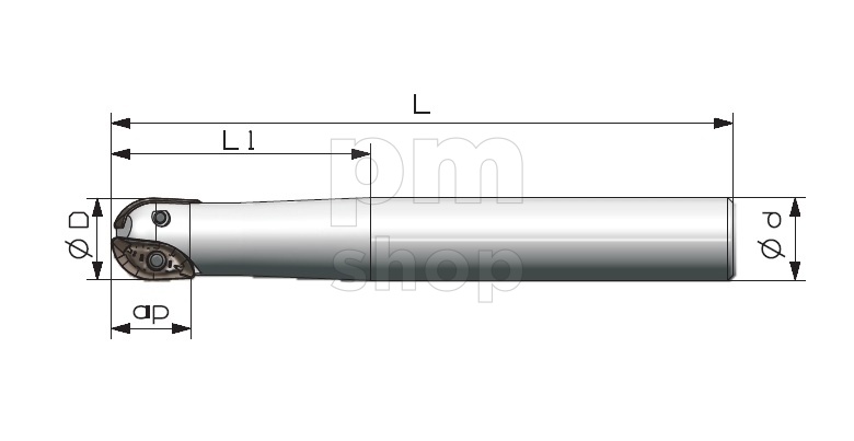 Фреза концевая со сменными пластинами Sant RB02.16Z20.016.M заказать