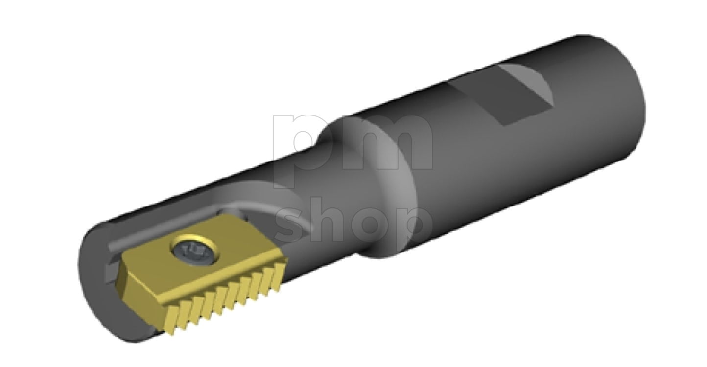 Резьбофреза концевая со сменными пластинами SR0048M40 заказать