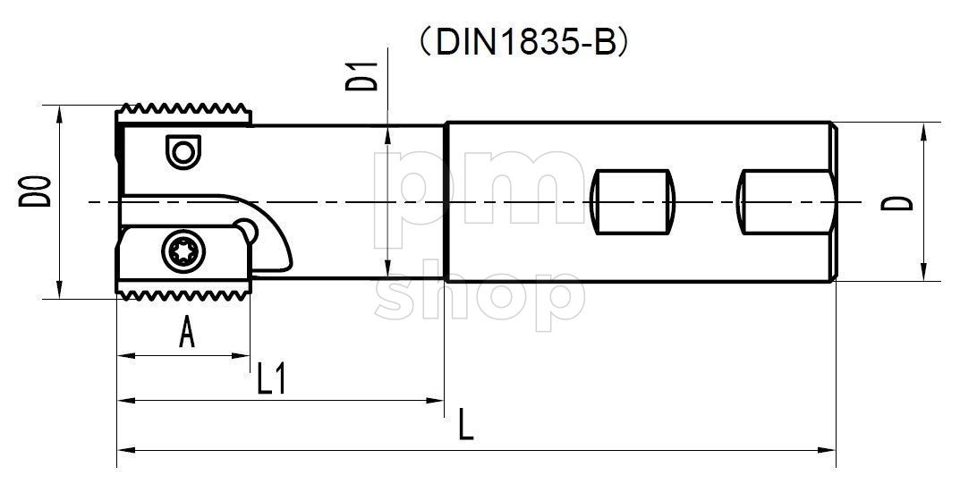 Резьбофреза концевая с двумя сменными пластинами SR0040L30-2 заказать