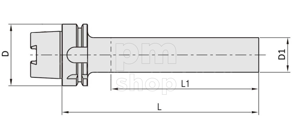 Контрольная (тестовая) оправка HSK63A-D50-350 заказать