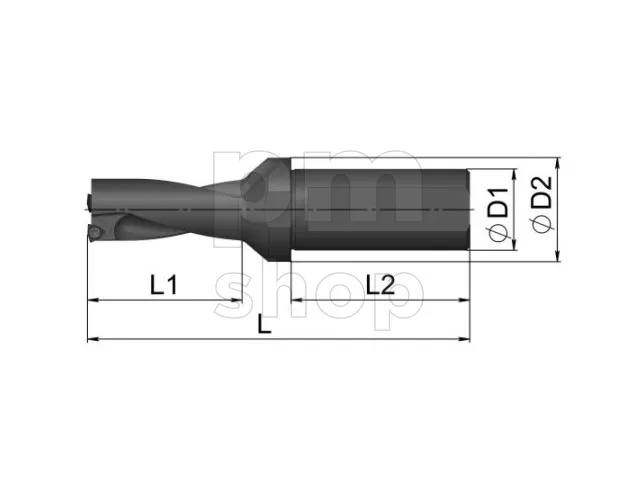 Корпусное сверло Sant 2D/2Д заказать