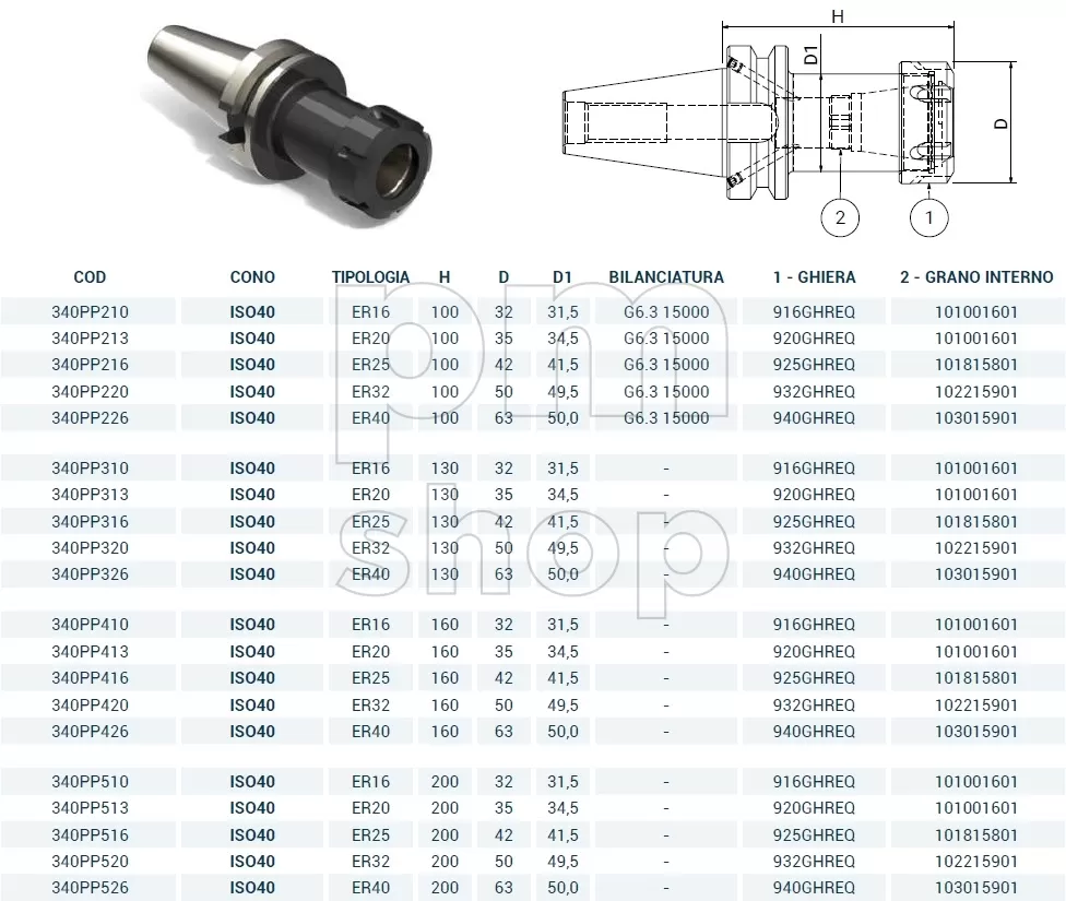 Патрон цанговый Pagnoni MAS403 BT40-ER25 заказать