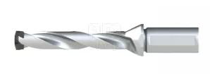 Корпусное модульное сверло QD220/229-25-5D-CA со сменной головкой, внутренний подвод СОЖ заказать