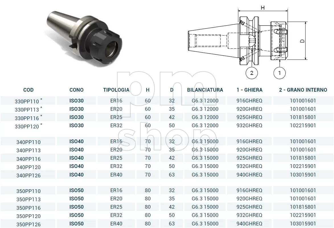 Патрон цанговый Pagnoni MAS403 BT40-ER25 заказать