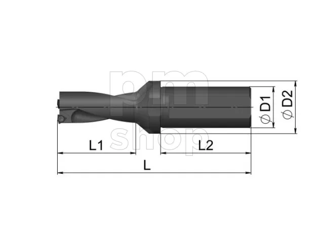 Сверло со сменными пластинами UD30.SP07.235.W25 заказать