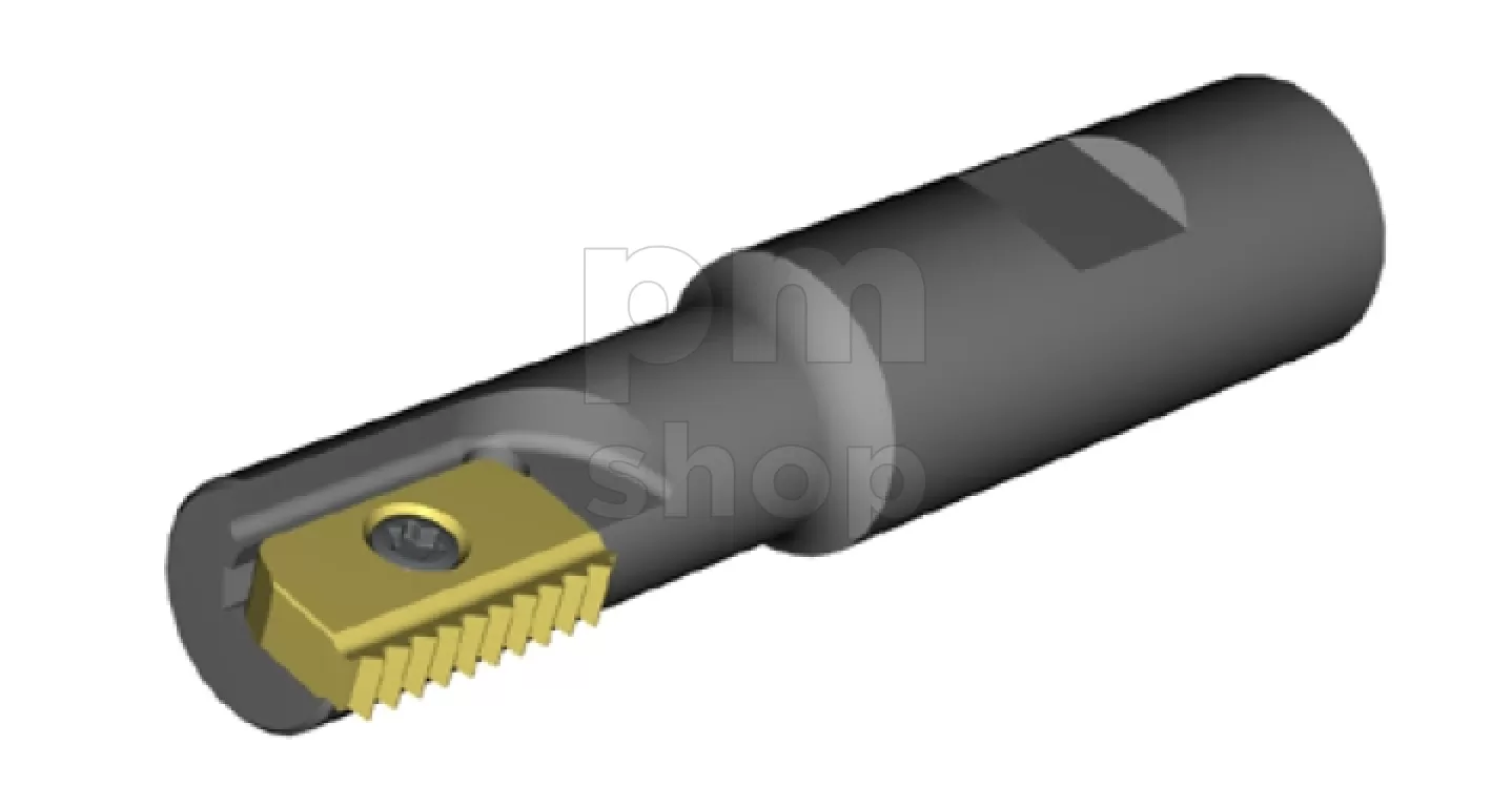 Резьбофреза концевая со сменными пластинами SR0014H14 заказать