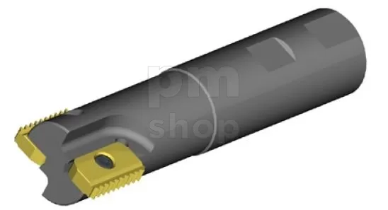 Резьбофреза концевая с двумя сменными пластинами SR0040L30-2 заказать
